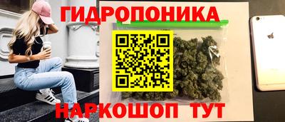 гашик Волжск