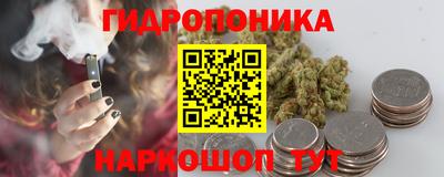 гашик Волжск