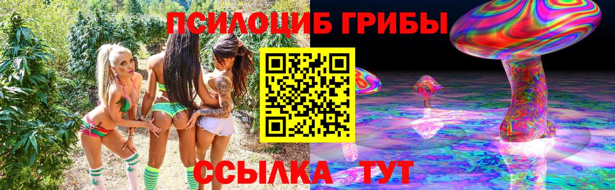 Галлюциногенные грибы Psilocybine cubensis Брянск